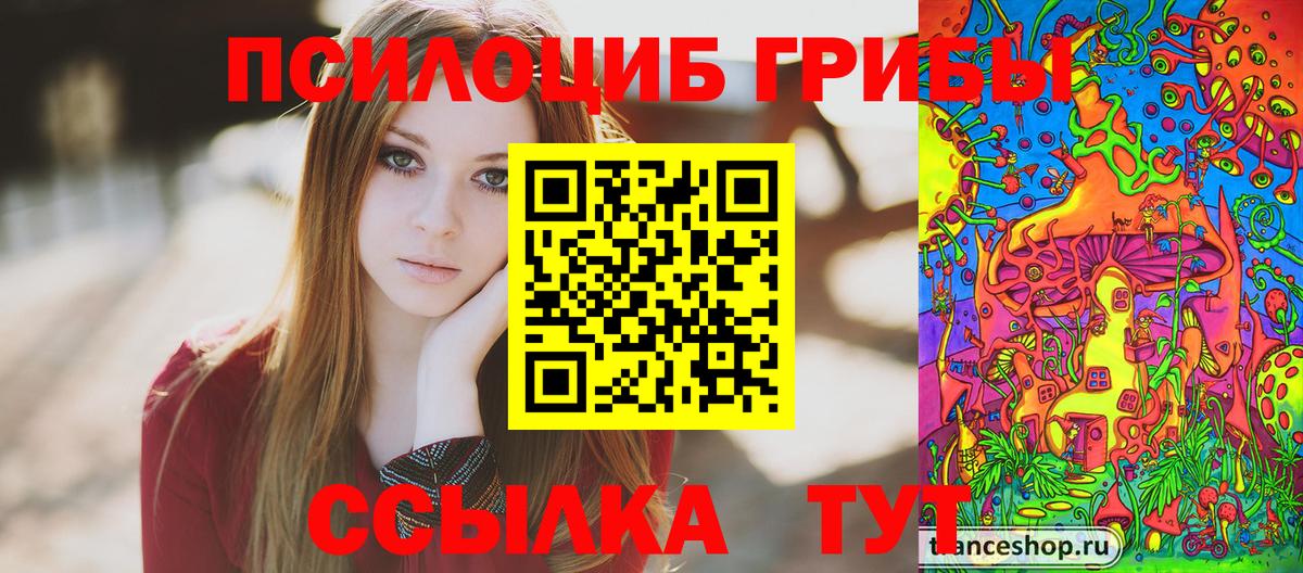Чехов  Галлюциногенные грибы ЛСД  Вход с VPN 